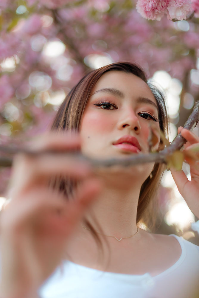 Centennial Park Cherry Blossoms Portrait 2