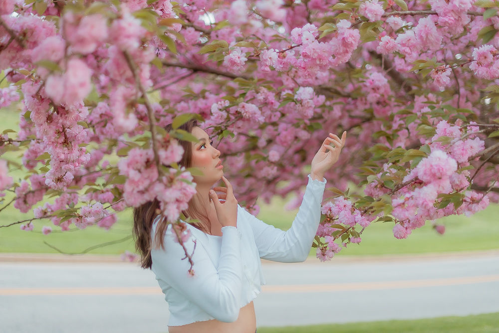 Centennial Park Cherry Blossoms Portrait 5